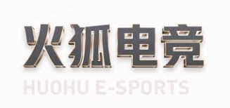 伙伴十