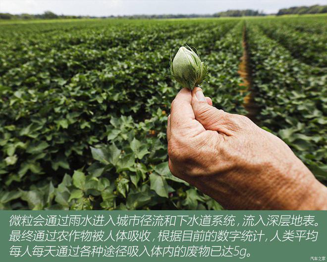 Emc易倍体育：茂名保时捷车友会俱乐部你愿意每天吃垃圾？数字诉说回收作用(图12)