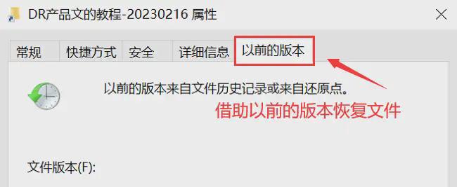 Emc易倍体育：电脑文件误删除如何恢复？这5个策略亲测有效！(图7)