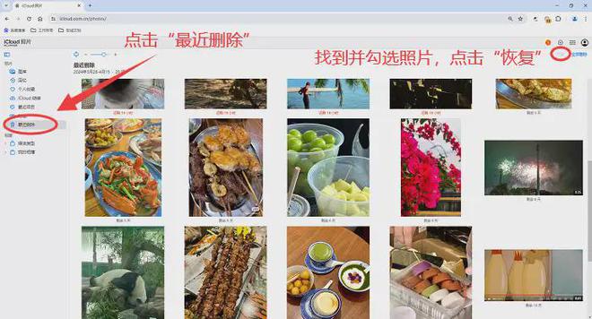 iPhone照片丢失！3招轻松恢复回收站清空的照片(图4)