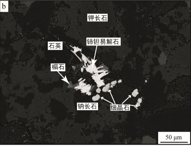 易倍体育网站：铈钽易解石：含稀土、稀有元素的新矿物(图3)