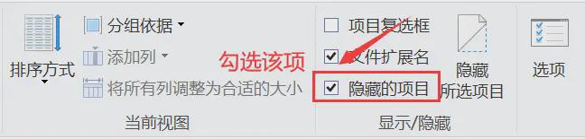 电脑里数据忽然消失了？6个方法（含图文）(图10)