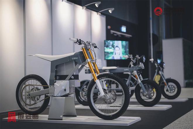 易倍体育网站：2024年瑞典哥德堡新能源电动车及充电桩展eCarExpo2024(图28)