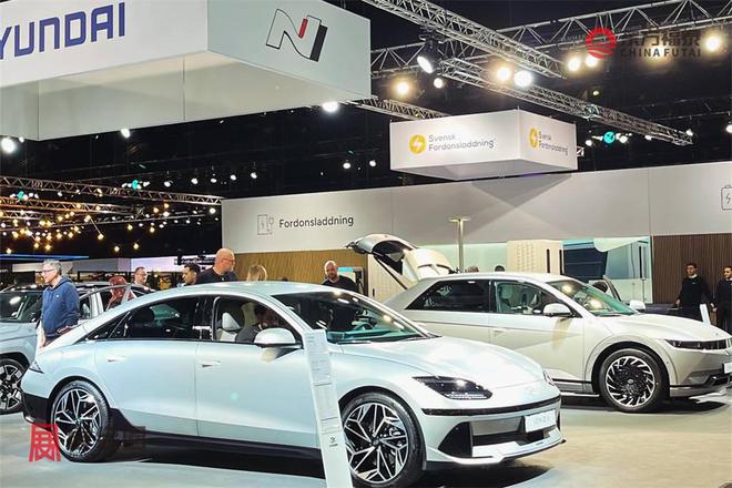 易倍体育网站：2024年瑞典哥德堡新能源电动车及充电桩展eCarExpo2024(图36)