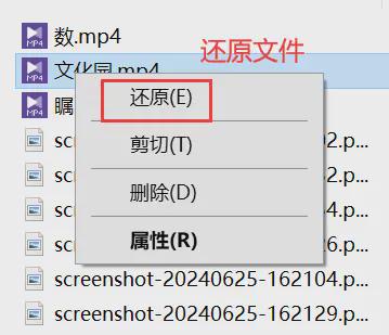 Emc易倍体育：删除的怎么恢复？4个方法找回珍贵(图3)
