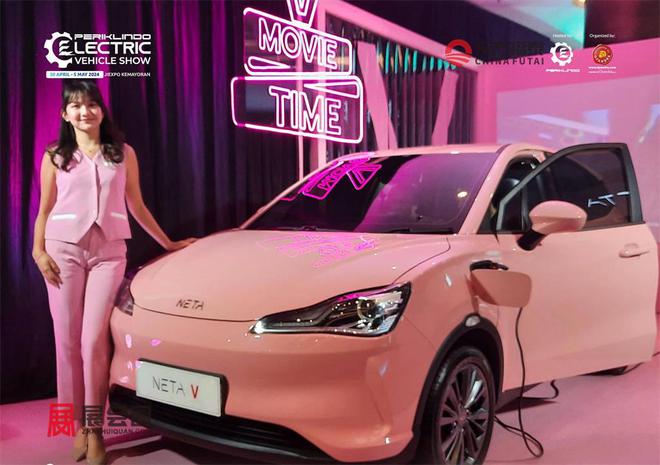 2025年印尼新能源电动车及充电桩展PEVS2025(图28)