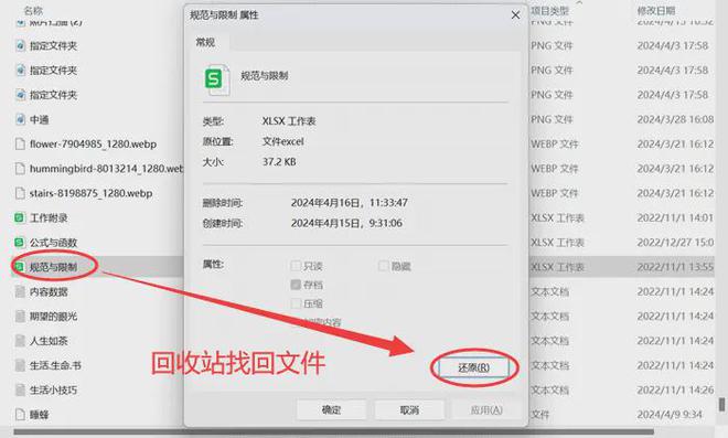 电脑里删除的文件怎么恢复？4个方法重获数据(图2)