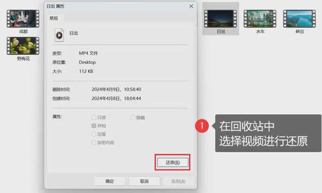 易倍体育网站：电脑删除怎么恢复？3个热门方法让复生！(图2)
