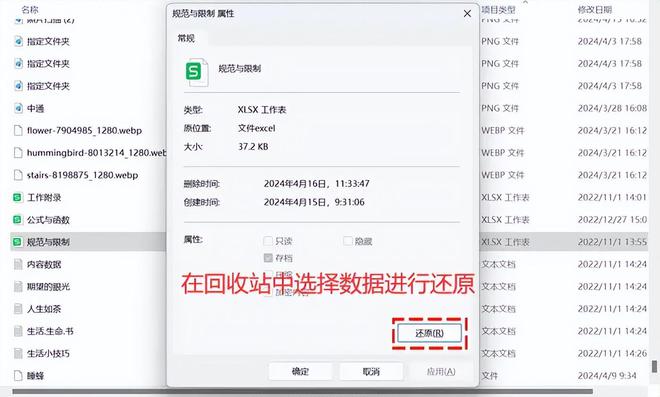 数据丢失焦虑？6款电脑文件恢复软件为数据安全护航！(图2)