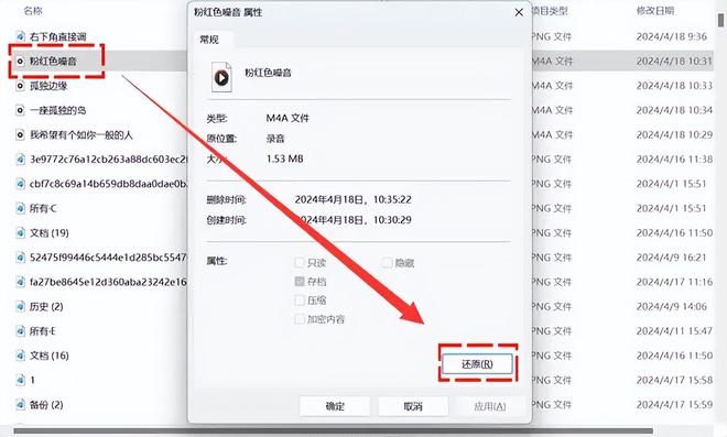 电脑录音删除怎么恢复？5个攻略帮你快速寻回音频(图2)