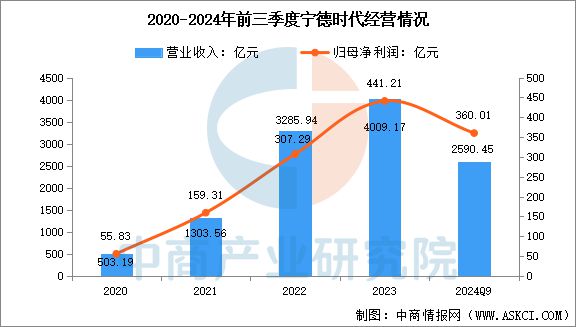 Emc易倍体育：2025年中国储能电池行业市场前景预测研究报告(图9)