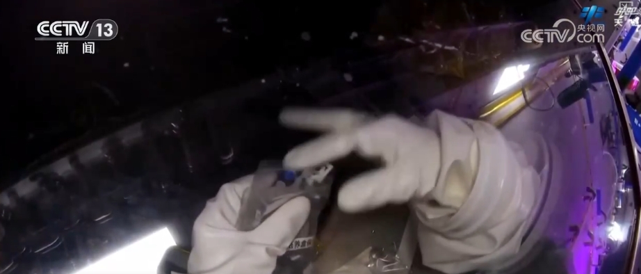 添置新防护→医疗救护→科学实(试)验……神二十乘组工作周记亮点多(图12)