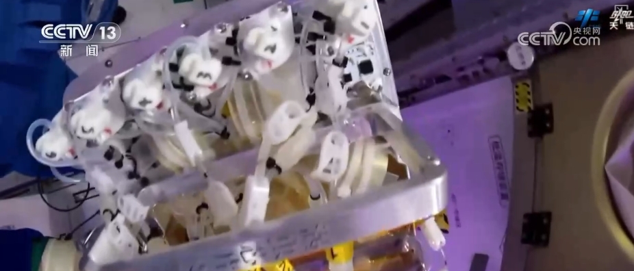 添置新防护→医疗救护→科学实(试)验……神二十乘组工作周记亮点多(图10)