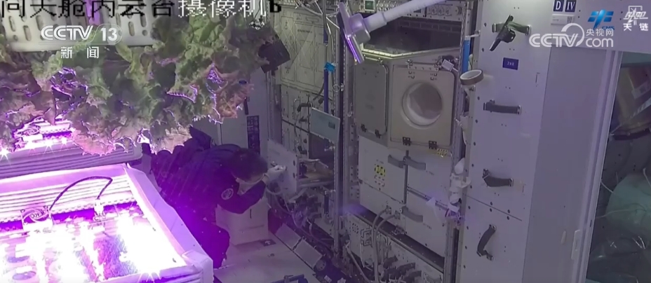 添置新防护→医疗救护→科学实(试)验……神二十乘组工作周记亮点多(图9)