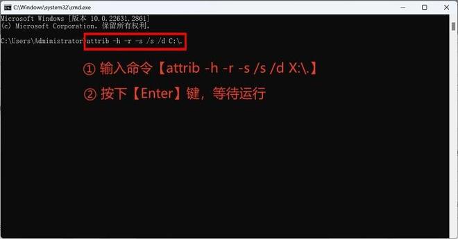 易倍体育网站：回收站清空了能恢复吗？掌握5条恢复妙招(图5)