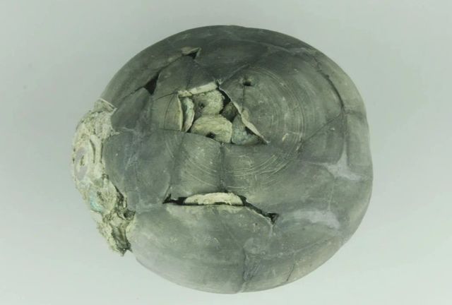 超1200岁“唐釉釉”领衔！苏州考古博物馆儿童节特展来啦(图7)