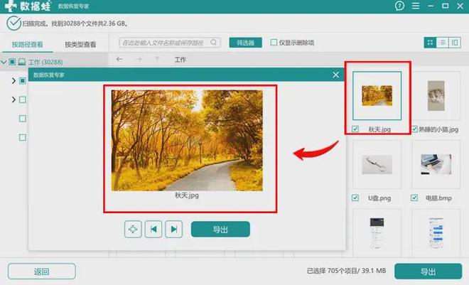 5个电脑操作的删除照片恢复方法收好守护照片秘籍(图3)