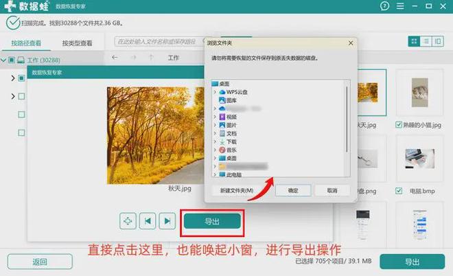 5个电脑操作的删除照片恢复方法收好守护照片秘籍(图4)