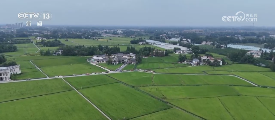 Emc易倍体育：巡检机器人、无人化工厂……解锁农业“智”管新范式科技赋能好“丰”景(图5)