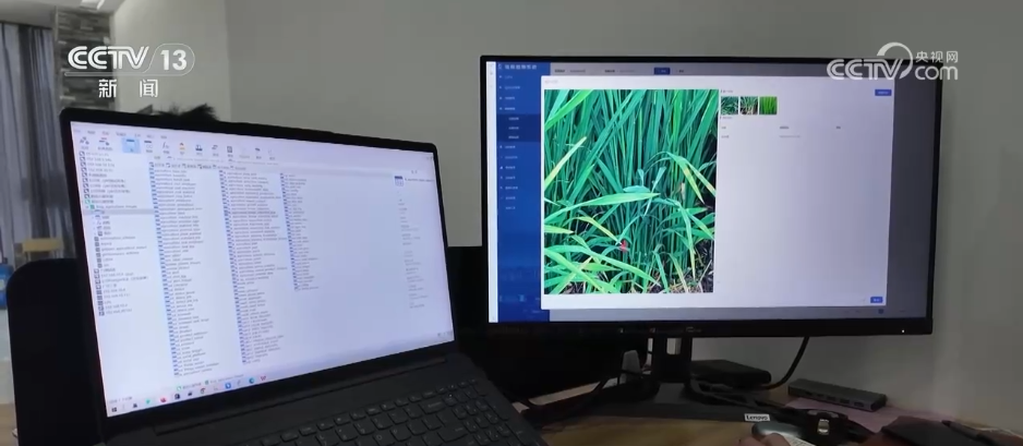 Emc易倍体育：巡检机器人、无人化工厂……解锁农业“智”管新范式科技赋能好“丰”景(图6)