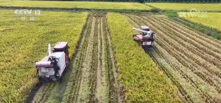 Emc易倍体育：巡检机器人、无人化工厂……解锁农业“智”管新范式科技赋能好“丰”景(图4)