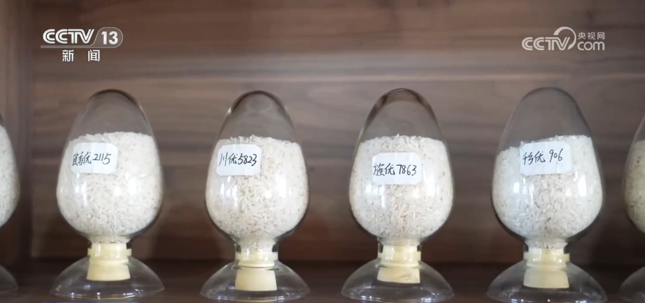 Emc易倍体育：巡检机器人、无人化工厂……解锁农业“智”管新范式科技赋能好“丰”景(图3)