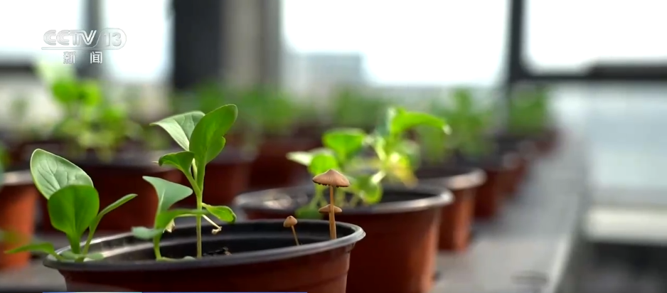 Emc易倍体育：巡检机器人、无人化工厂……解锁农业“智”管新范式科技赋能好“丰”景(图8)