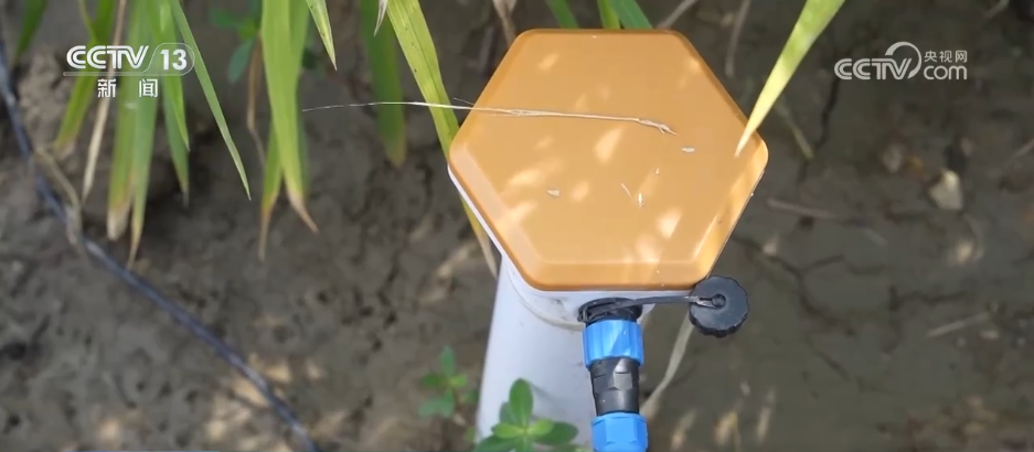 Emc易倍体育：巡检机器人、无人化工厂……解锁农业“智”管新范式科技赋能好“丰”景(图7)