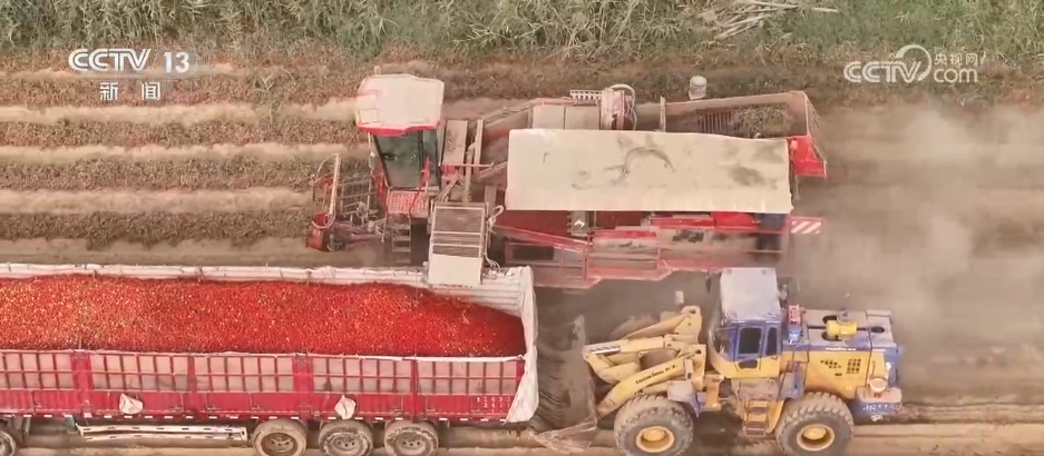 Emc易倍体育：巡检机器人、无人化工厂……解锁农业“智”管新范式科技赋能好“丰”景(图13)