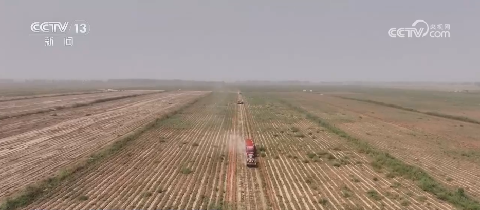 Emc易倍体育：巡检机器人、无人化工厂……解锁农业“智”管新范式科技赋能好“丰”景(图11)