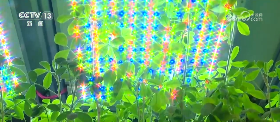 Emc易倍体育：巡检机器人、无人化工厂……解锁农业“智”管新范式科技赋能好“丰”景(图10)