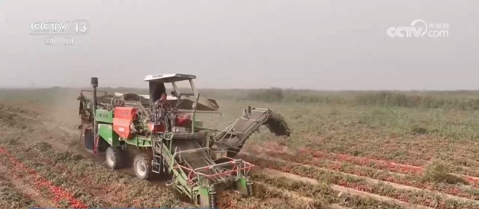 Emc易倍体育：巡检机器人、无人化工厂……解锁农业“智”管新范式科技赋能好“丰”景(图12)