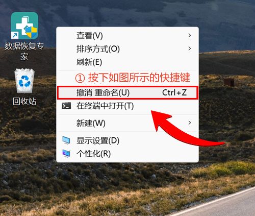 回收站文件恢复有何妙计？这5种实用方法新手友好(图2)