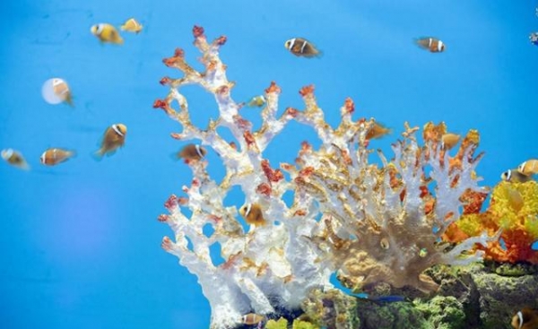 中国地位不保？美国稀土技术革命性突破全球稀土格局或被重塑(图4)