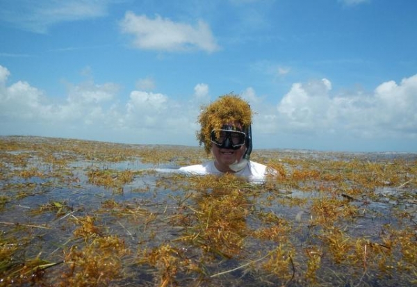 中国地位不保？美国稀土技术革命性突破全球稀土格局或被重塑(图5)