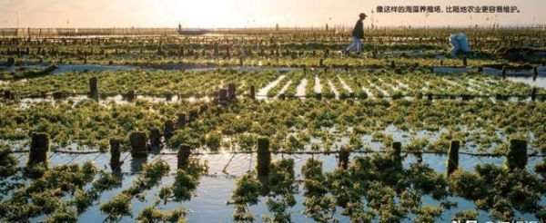 中国地位不保？美国稀土技术革命性突破全球稀土格局或被重塑(图7)