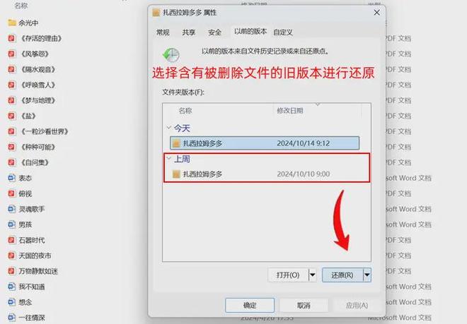 电脑中的文件删除了怎么恢复？90%的人还没掌握这5个恢复诀窍！(图4)