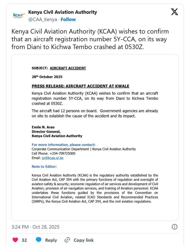 满地人体碎片残骸！11人遇难！肯尼亚一飞机坠毁计划飞往旅游地(图5)