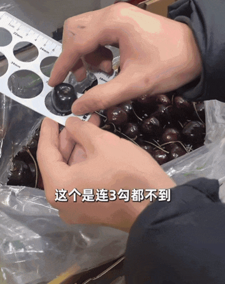 便宜又好吃的老水果去哪儿了？(图12)