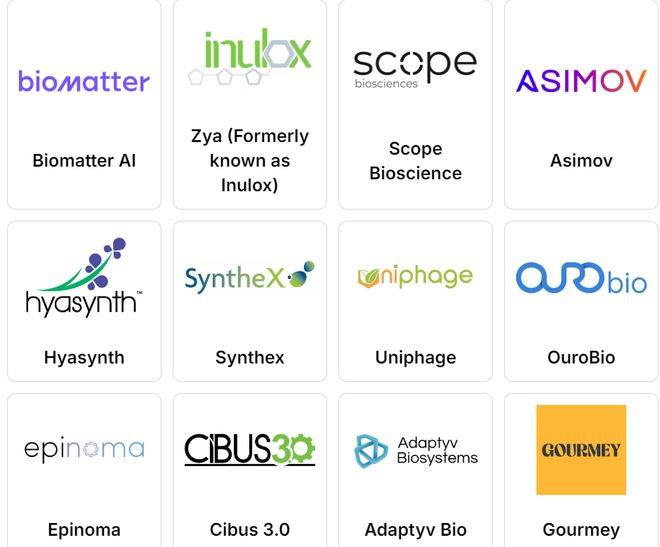 高中生搞出除霉“黑科技”荣获国际顶尖大奖！合成生物竞赛中国团队杀疯了！(图6)