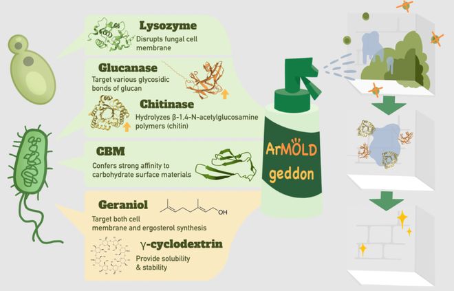 高中生搞出除霉“黑科技”荣获国际顶尖大奖！合成生物竞赛中国团队杀疯了！(图3)