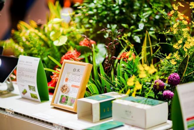 《索尼中国可持续发展报告2025》于进博会发布(图8)