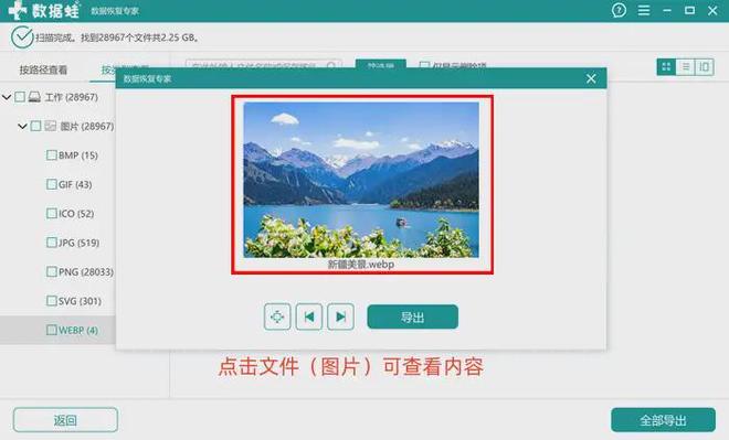 2025年必备电脑数据恢复专家6款推荐（电脑小白可码住）(图3)