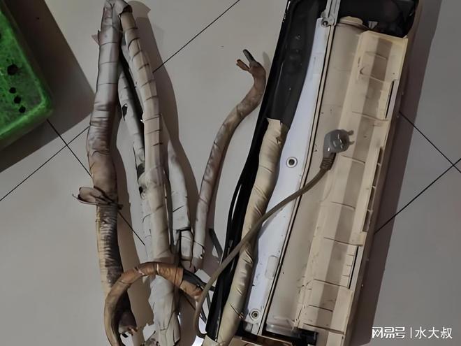 街头那些收废品的三轮车究竟藏着多少秘密？10个人有9个不懂！(图4)