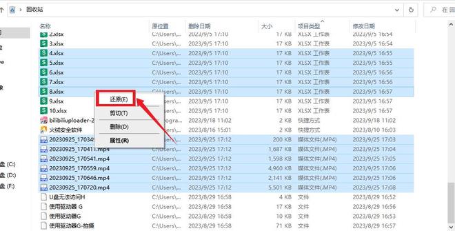 电脑文件误删除如何恢复？分享6个实用文件恢复方法(图2)