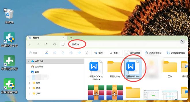 易倍体育网站：电脑文件丢失怎么恢复？推荐5种实用又好操作的恢复方法(图2)